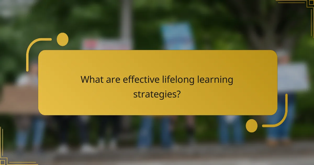 What are effective lifelong learning strategies?