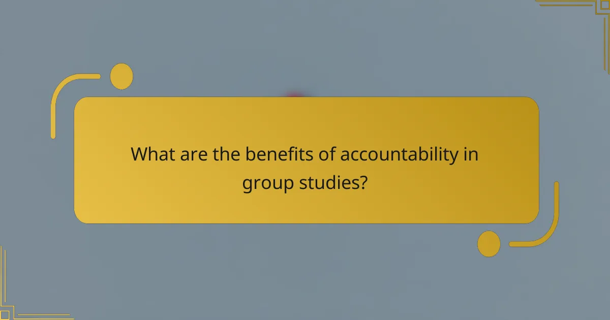 What are the benefits of accountability in group studies?