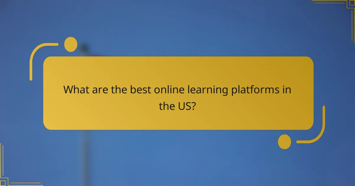 What are the best online learning platforms in the US?